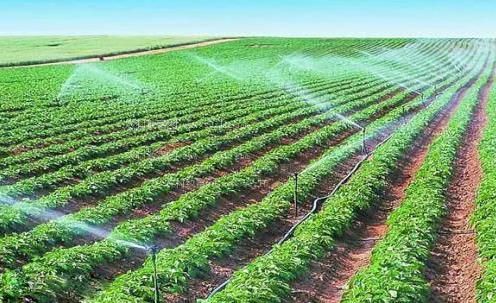 有免费操逼片吗农田高 效节水灌溉